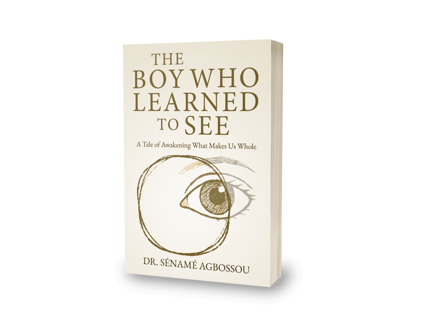 The Boy Who Learned to See — book cover